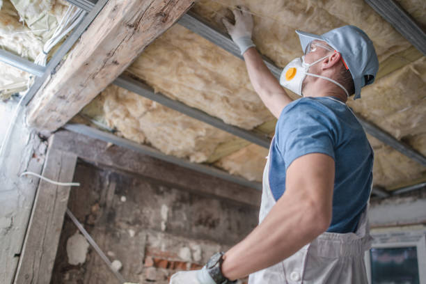 Best Geographic-Specific Insulation Services in Hatboro, PA